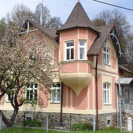 Apartmany Villa Magnolie Lipová-lázně Kültér fotó