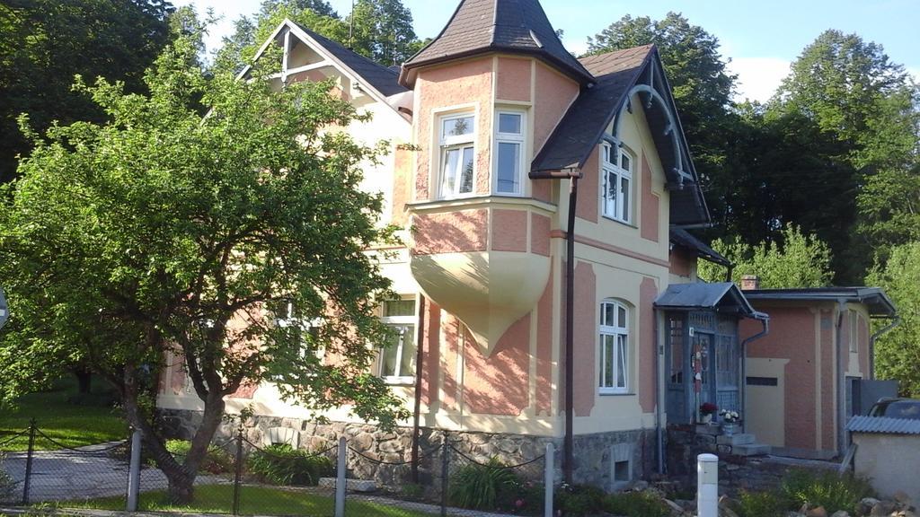 Apartmany Villa Magnolie Lipová-lázně Kültér fotó