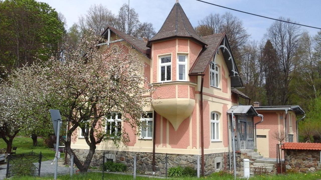 Apartmany Villa Magnolie Lipová-lázně Kültér fotó